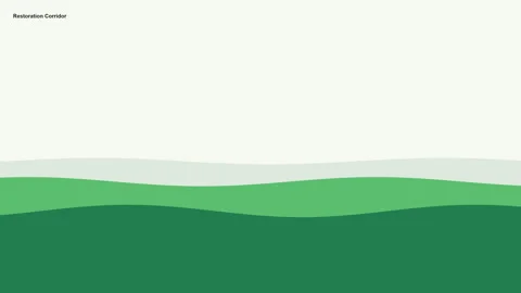 Bioregion-restoration-corridor-landscape-loop-4k Vídeo Stock 344394664