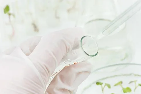 Biosciences Stock Photos