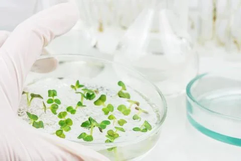 Biosciences Stock Photos