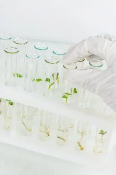 Biosciences Stock Photos