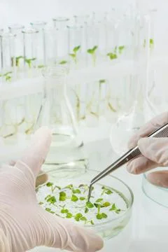 Biosciences Stock Photos
