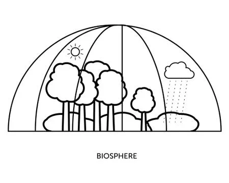 Biosphere Stock Illustration