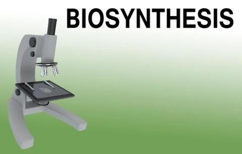BIOSYNTHESIS - physiological concept Stock Illustration