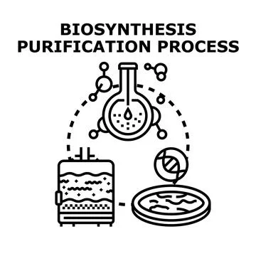 Biosynthesis purification process concept vector illustration Stock Illustration