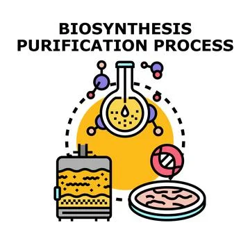 Biosynthesis purification process concept vector illustration Stock Illustration