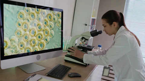 Biotech Researcher Examining Cell Samples in Microscope and Using Computer Stock Footage 332360199