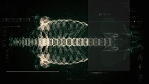 Biotech X-ray view of ribcage and thoracic spine with advanced HUD data Stock Footage 322211067