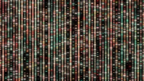 Biotechnology dna sequence genomic analysis visualization Stock Footage 116954404