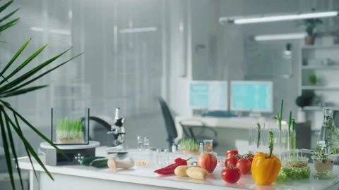 Biotechnology laboratory with genetically modified vegetables, fruits, mushrooms Stock Footage 238083732
