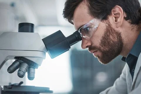 Biotechnology, microscope and focus of scientist checking research data from Foto stock