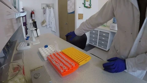 Biotechnology PhD student filling up Eppendorf tubes 스톡 동영상 109316285
