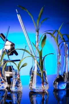 Biotechnology. Stock Photos