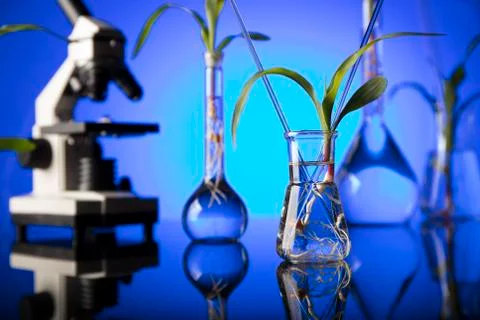 Biotechnology. Stock Photos