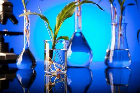 Biotechnology. Stock Photos