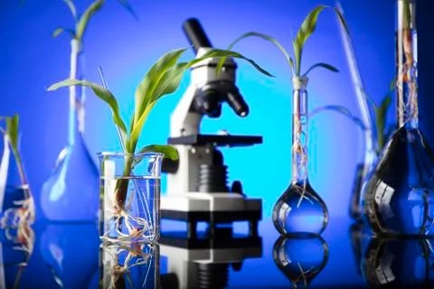 Biotechnology. Stock Photos