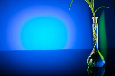 Biotechnology. Stock Photos