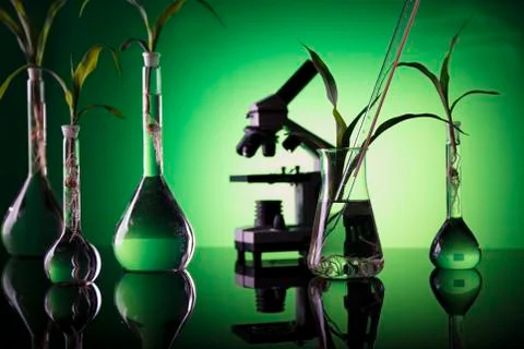 Biotechnology. Stock Photos