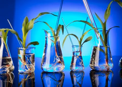 Biotechnology. Stock Photos