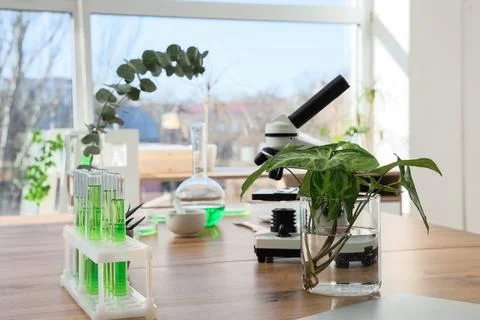 Biotechnology research laboratory with microscope, test tubes, and plants for Фото