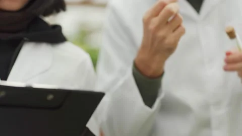 Biotechnology scientists examining plant sample in greenhouse Stock Footage 142408051