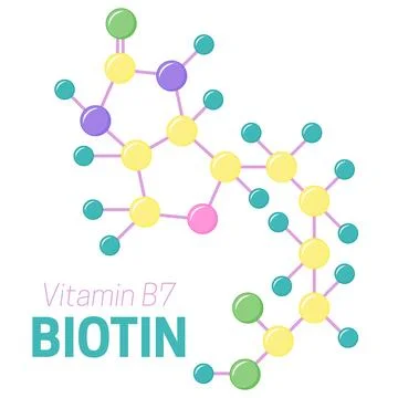 Biotin Vitamin B7 Molecule Stock Illustration