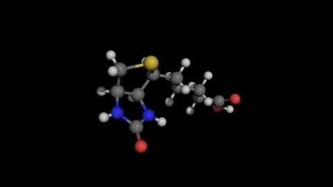 Biotin (vitamin B7) molecule model rotating Stock Footage 85933353