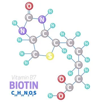 Biotin Vitamin B7 Molecule Structure Illustration Stock Illustration