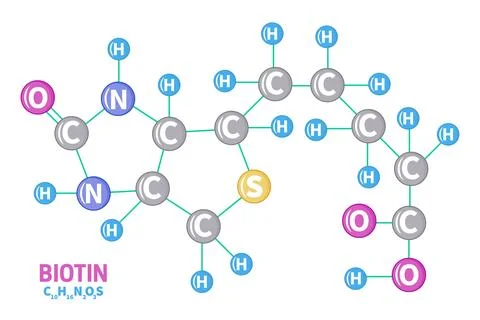 Biotin Vitamin B7 Molecule Structure Formula Illustration Illustrazione stock