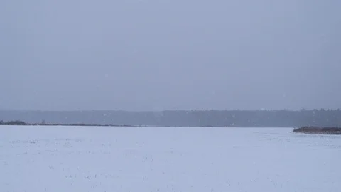 Biplane is moving Stockbeeldmateriaal 99582763