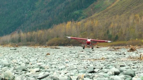 Biplane taking off from forest land Stock Footage 83183925