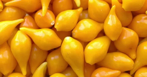 Biquinho Yellow peppers background. Stock Footage 307996145