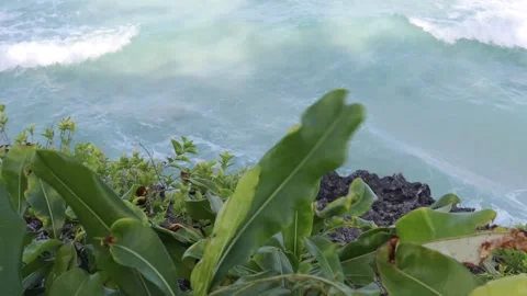 Bira beach (10) Stock-Footage 276648330