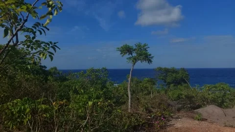 Bira beach (2) Stock Footage 276648121