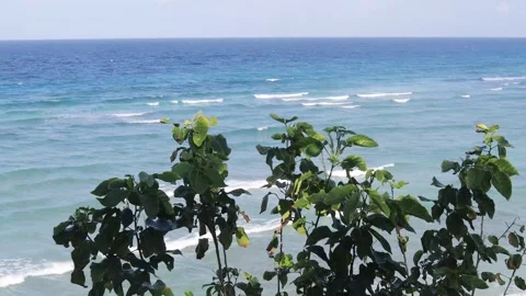 Bira beach (4) Stock Footage 276647979