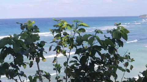 Bira beach (9) Video stock 276648335