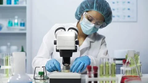 Biracial lab analyst viewing samples of bacteria on microscope, virology Stock Photos