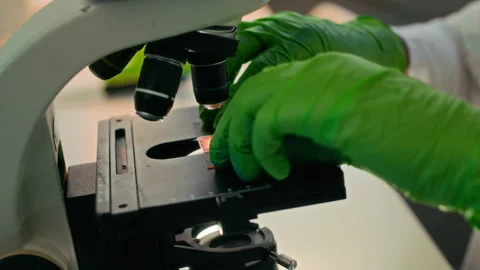 Biracial Male Microbiologist Looking at Sample Through Microscope in Laboratory Stock Footage 323353832