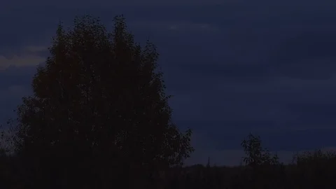 Birch, autumn clouds Stock Footage 122697653