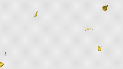 Birch Autumn Leaves Falling Animation - Seamless Loop 4K Stock Footage 340199034