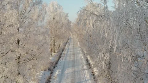 Birch Avenue Road at Cold Morning Stock Footage 258166375