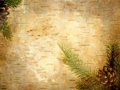 Birch background. Stock Photos