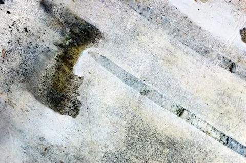 Birch bark Stock Photos