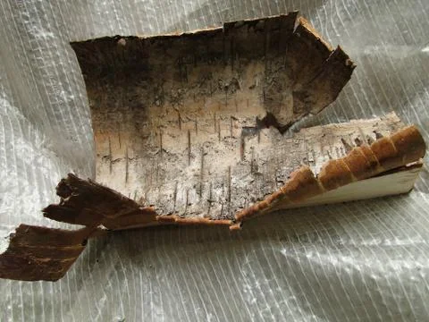 Birch bark Stock Photos