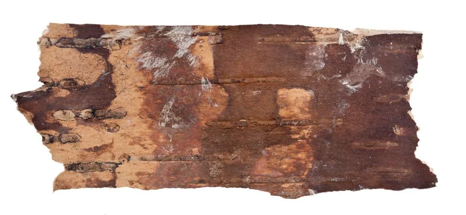 Birch bark Stock Photos