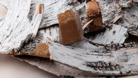 Birch bark rotates. Stock Footage 198367261