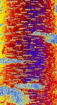 Birch bark structure, changed color, bright multicolored background Stock Illustration