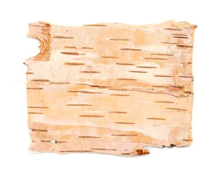 Birch bark texture Stock Photos