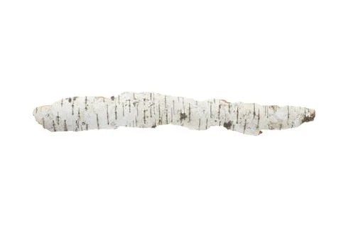 Birch bark on white isolated background Stock Photos