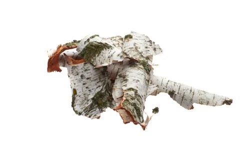 Birch bark on white isolated background Stock Photos