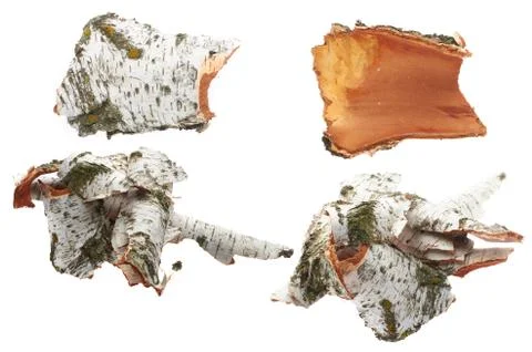Birch bark on white isolated background Foto stock